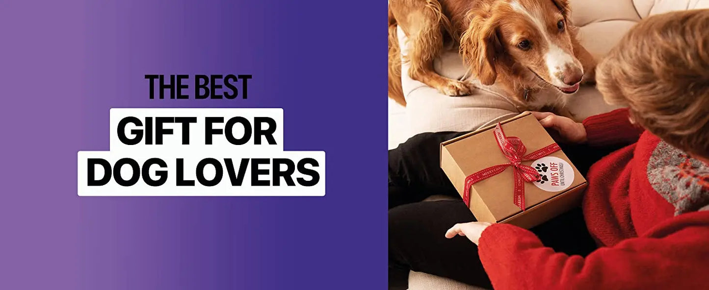 Ultrasonic Dog Trainer & Repeller β Effective & Safe